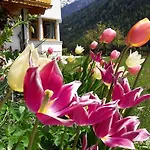 Alpensonne Neustift im Stubaital