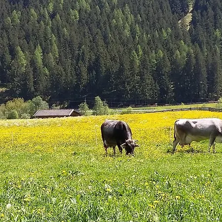 Alpensonne *