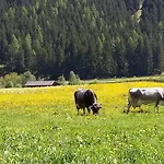 Alpensonne *