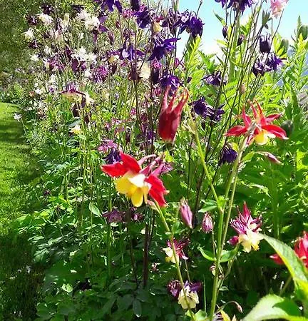 Alpensonne Neustift im Stubaital