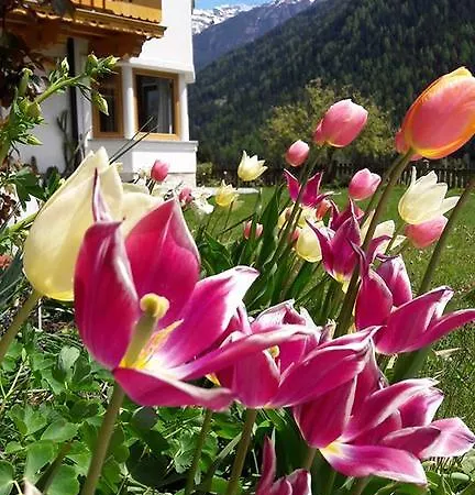 Alpensonne Neustift im Stubaital